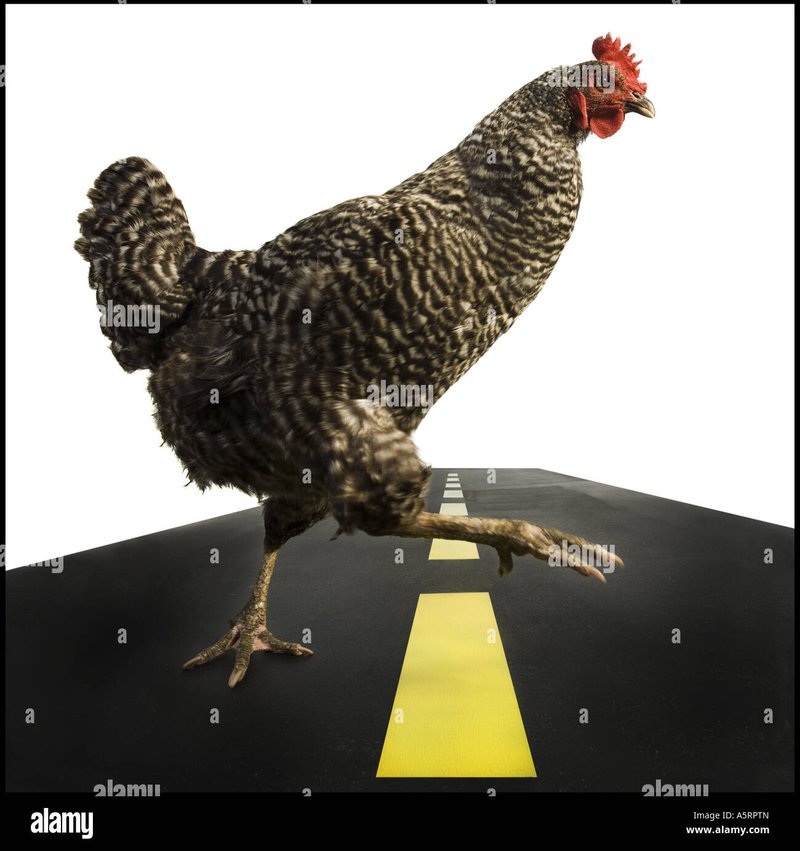 France - chicken road jeu d'argent